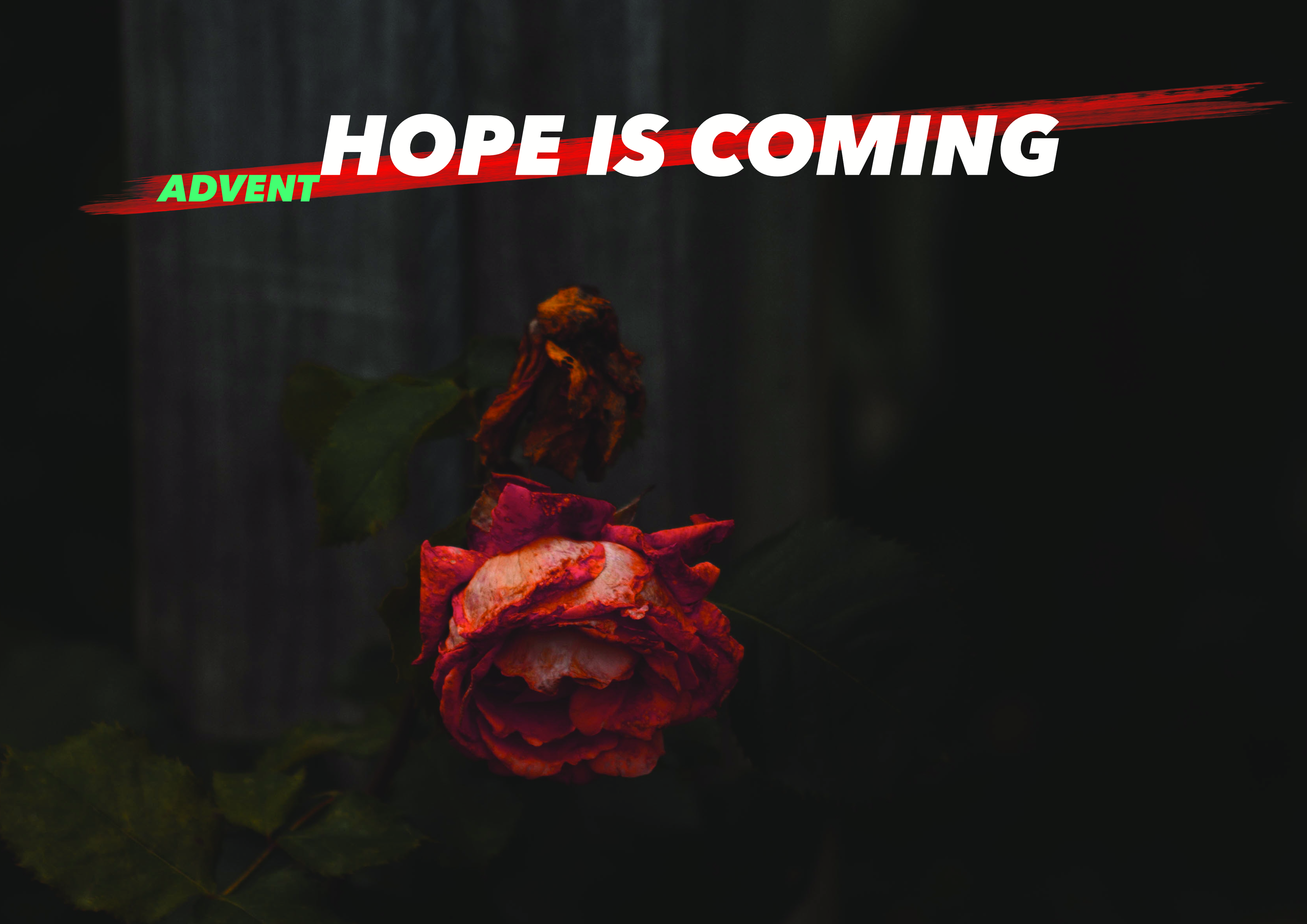 Advent 2019: Hope Is Coming